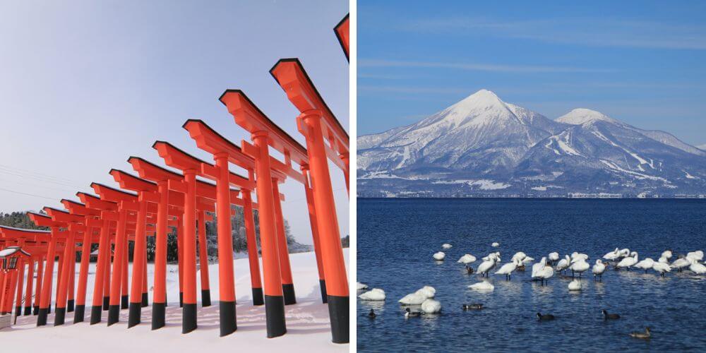 tohoku trip milocal japan