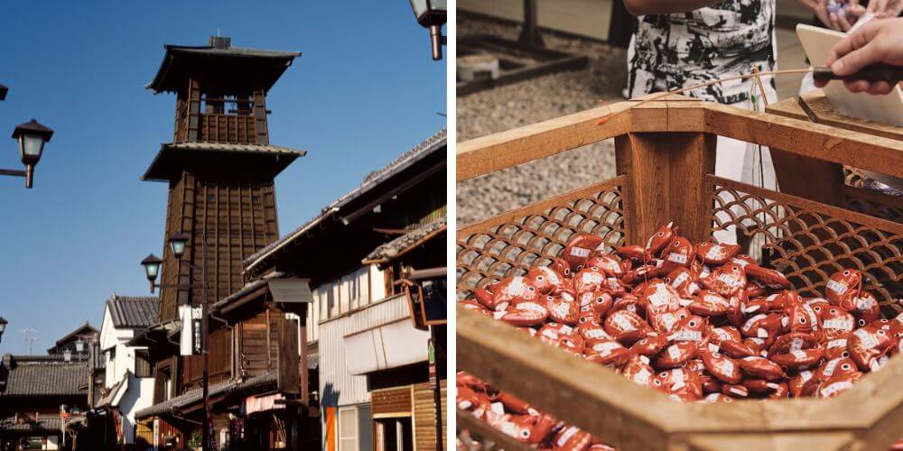 milocal japan kanto sakura tour