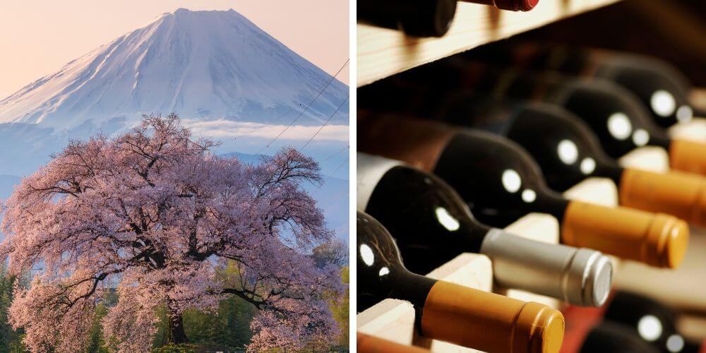 milocal japan kanto sakura tour