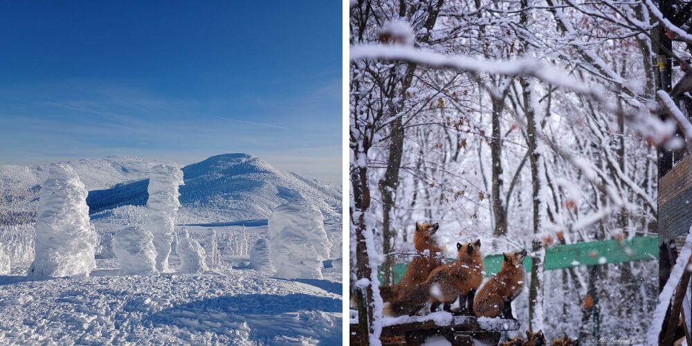 tohoku trip milocal japan