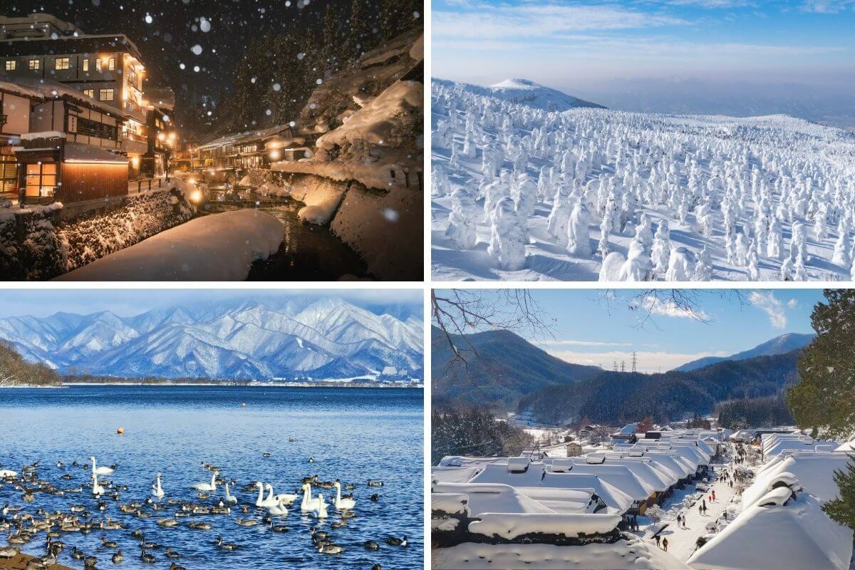 tohoku trip milocal japan