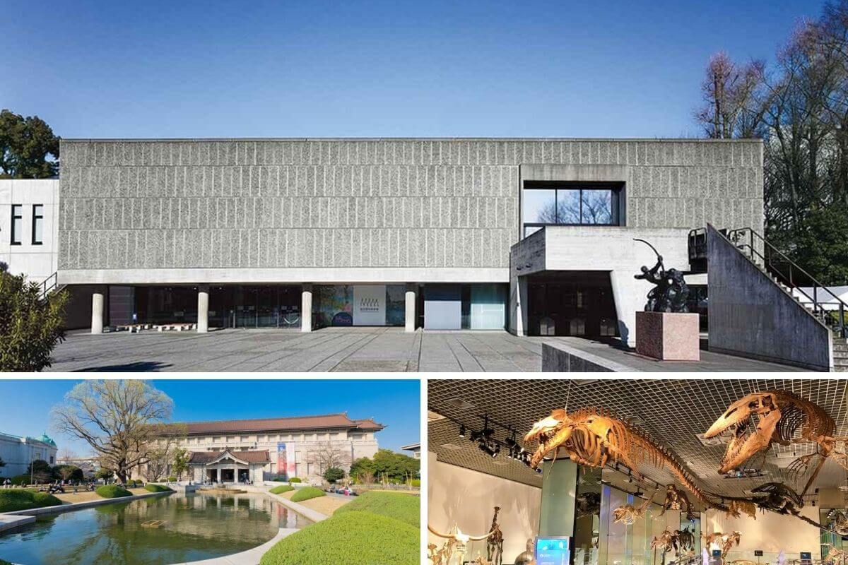 文化日免費入館特別活動|全日本多間知名美術館免費開放!