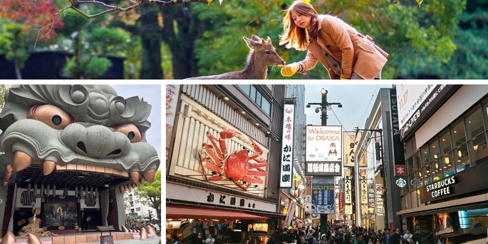 關西櫻花7天6夜之旅 | 大阪・京都・奈良賞櫻團 | Milocal Japan