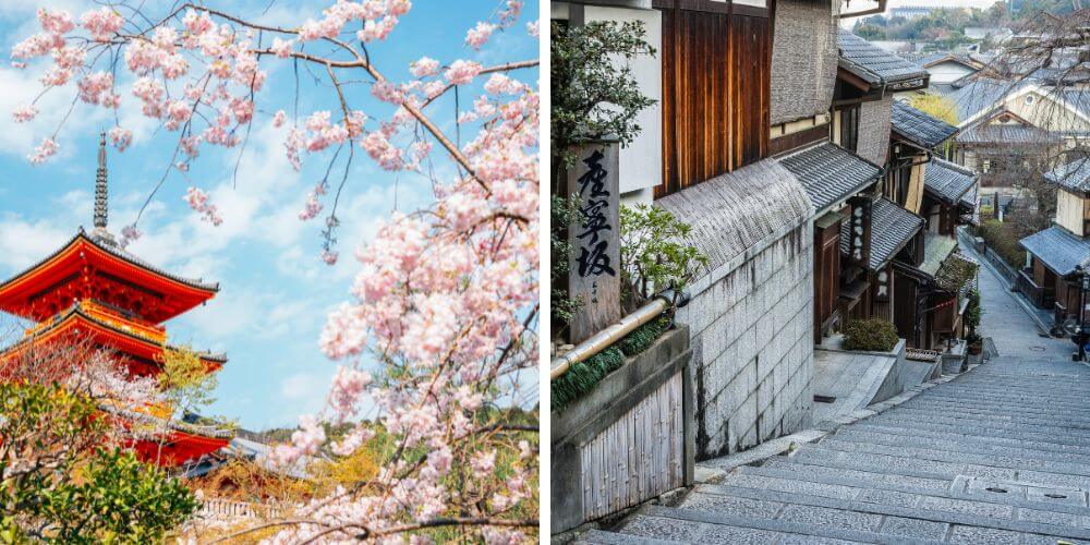 關西櫻花7天6夜之旅 | 大阪・京都・奈良賞櫻團 | Milocal Japan