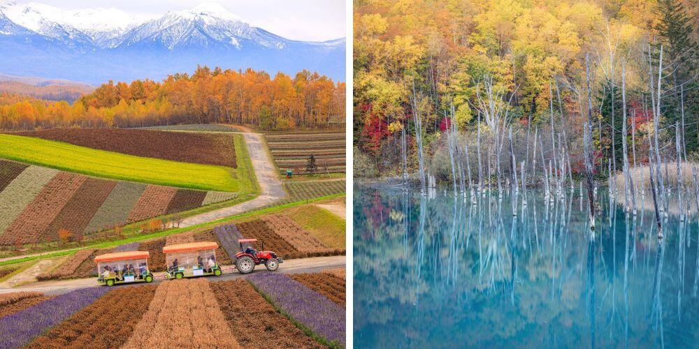 shikisai no oka and blue pond