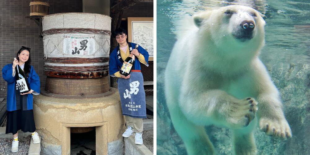 Otokoyama sake brewing and asahiyama zoo