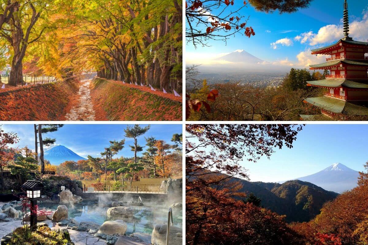 Top 8 things to Do in the Mt. Fuji Area in Autumn 🍂