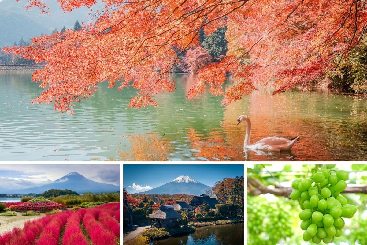 Top 8 things to Do in the Mt. Fuji Area in Autumn 🍂