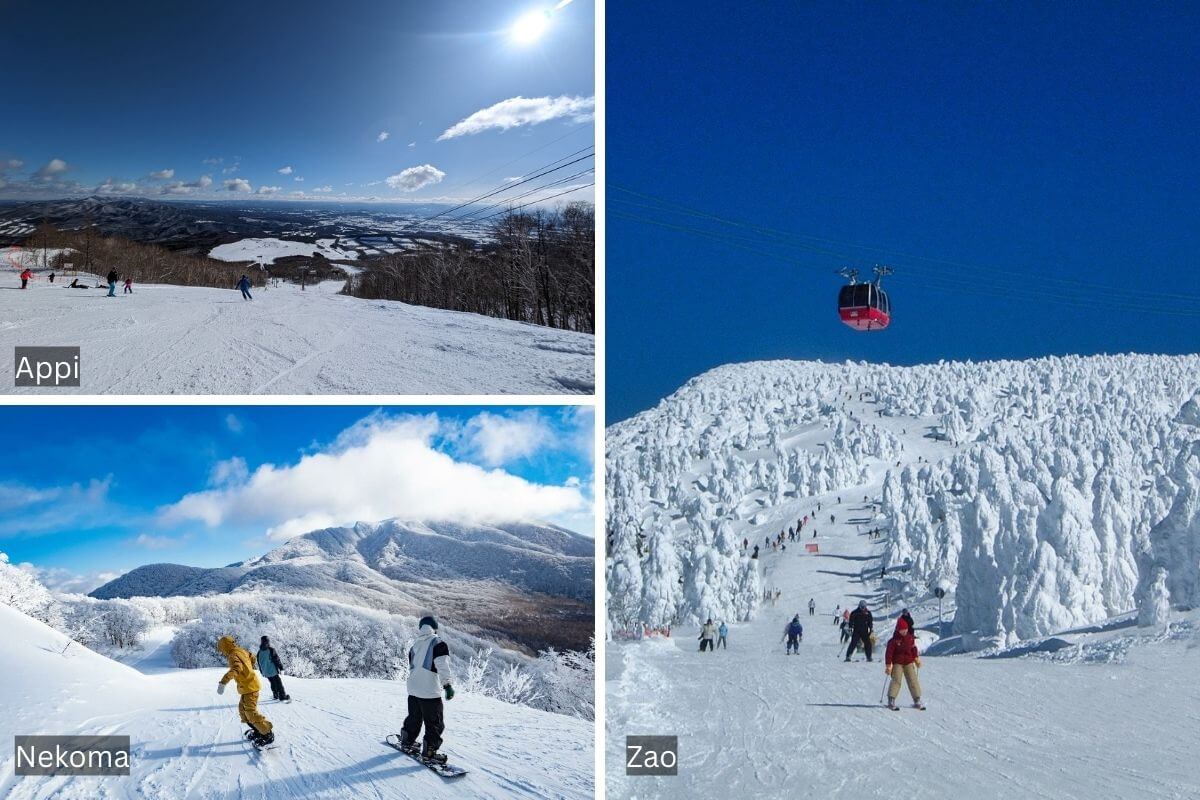 The Ultimate Guide to the Best Ski Resorts in Hokkaido & Tohoku