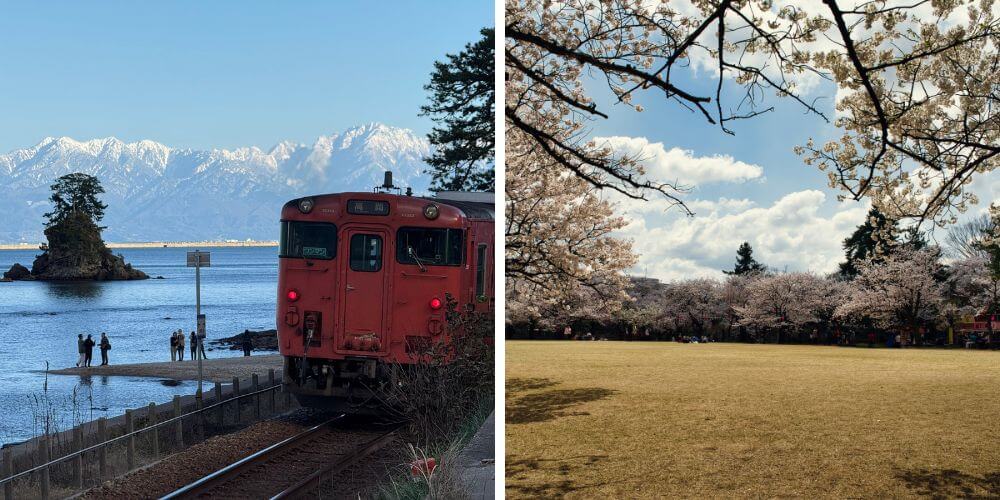 Nagoya Sakura Tour 6 Days 5 Nights | Best Chubu Cherry Blossom, Shirakawago & Takayama Spring Journey
