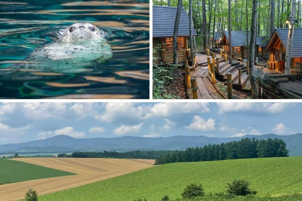 The Ultimate 3-Day Hokkaido Summer Smaple Itinerary